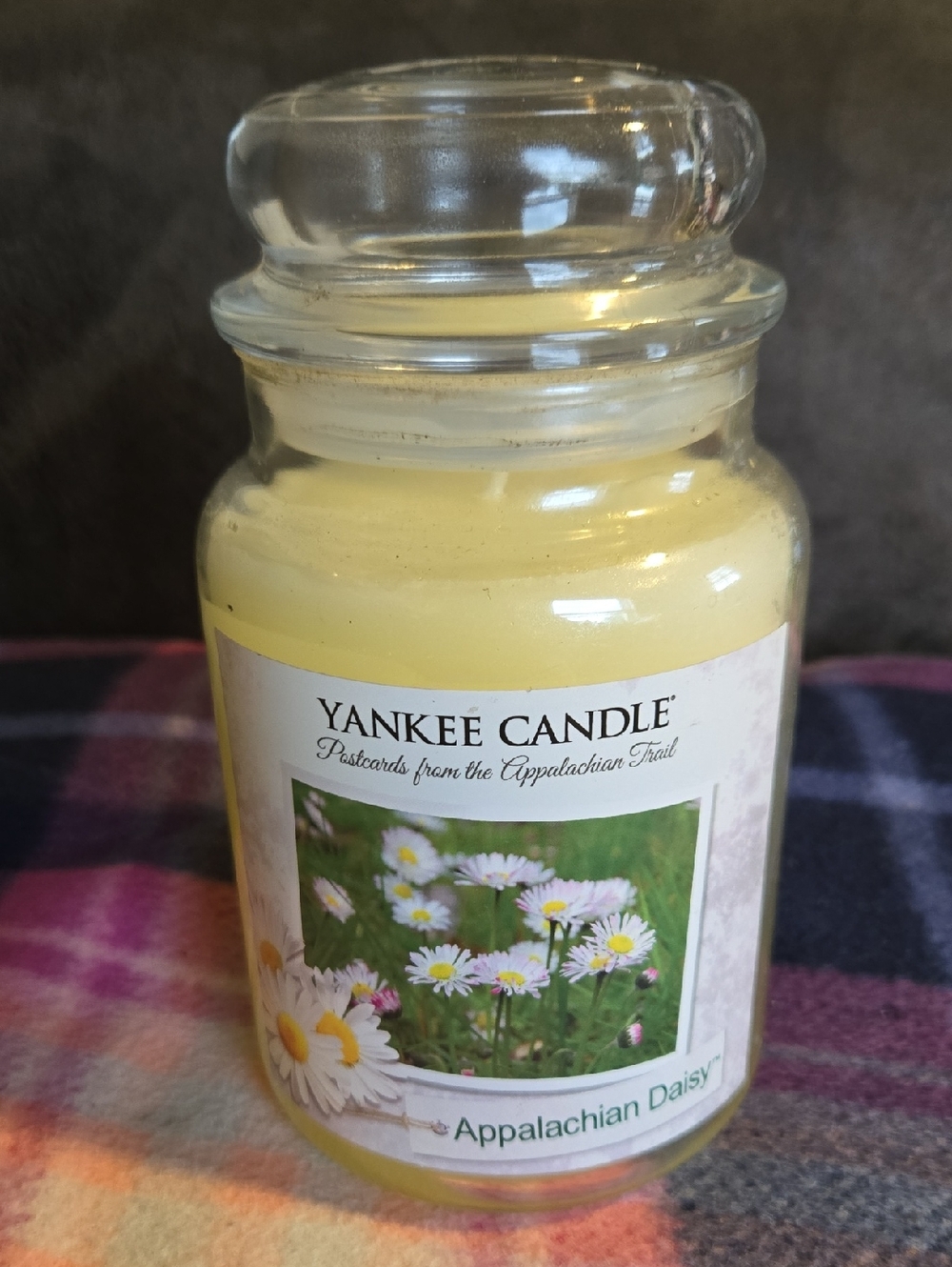 Yankee Candle Appalachian Daisy Jar - Postcards COLLECTION